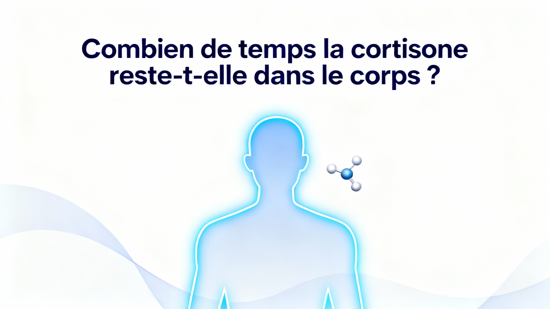 Combien de temps la cortisone reste-t-elle dans le corps ? 1 Combien de temps la cortisone reste-t-elle dans le corps ?