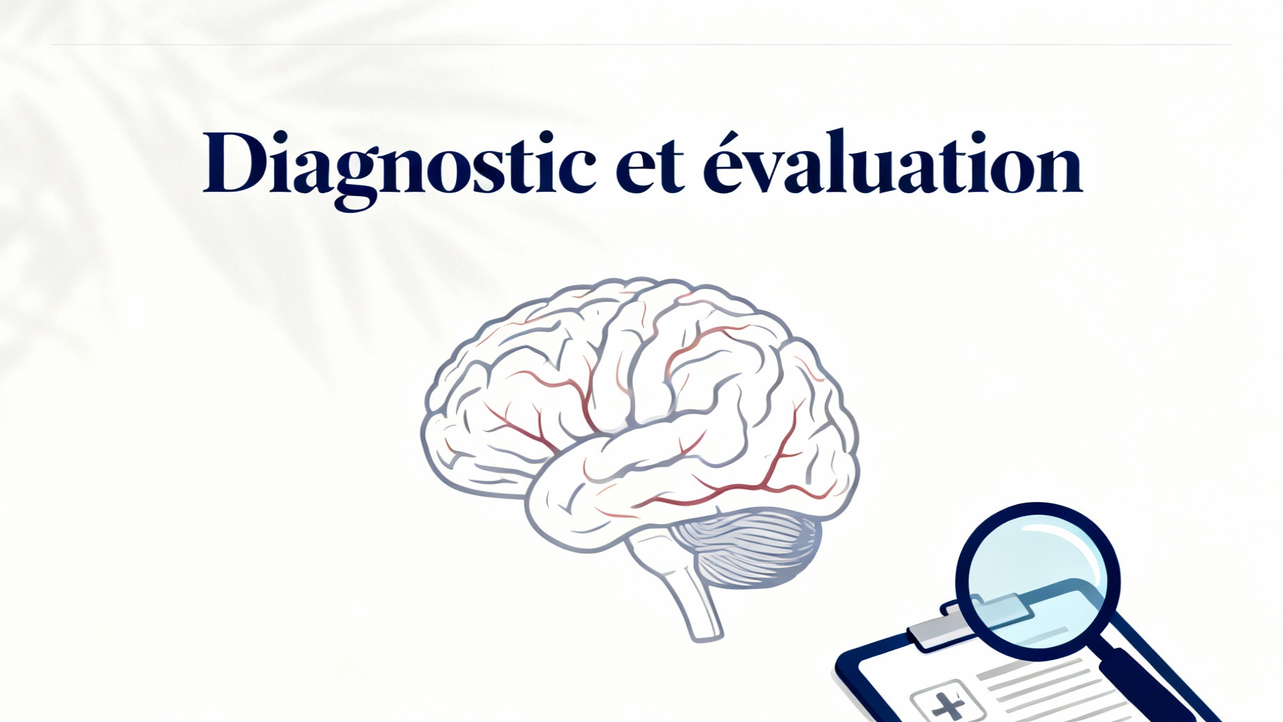 Comprendre la Démence Vasculaire : Symptômes et Solutions 1 Diagnostic et évaluation